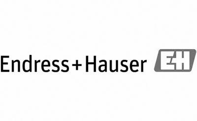 Endress + Hauser GmbH Logo